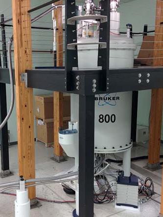 Bruker Avance III HD 800 MHz in the lab