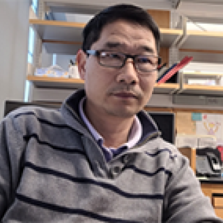 Gong Wu in the lab wearing a striped shirt