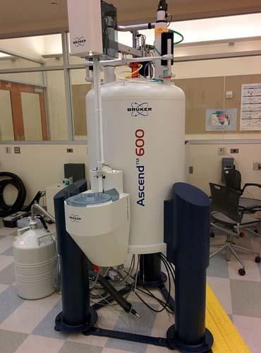 Bruker Avance III HD Ascend 600 MHz in the lab
