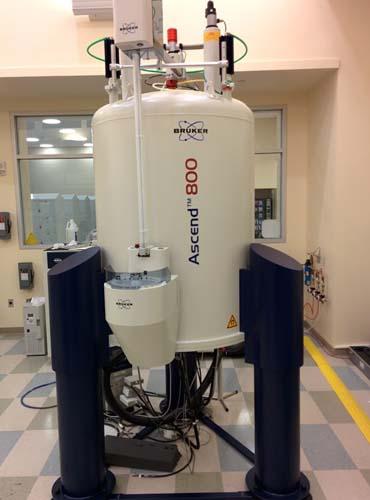 Bruker Avance III HD Ascend 800 MHz in the lab