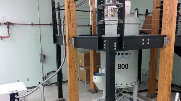 Bruker Avance III HD 800 MHz in the lab