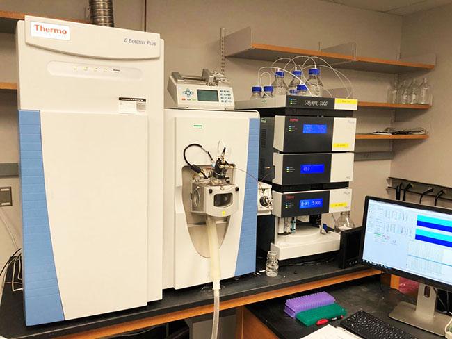 Thermo Scientific QE Plus (Metabolomics, QE-M) in th elab